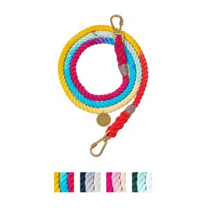 Found My Animal Adjustable Ombre Rope Dog Leash, Rainbow, 7-ft, Small