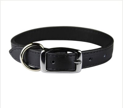 OmniPet Signature Leather Dog Collar, slide 1 of 1