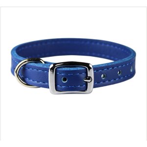 OmniPet Signature Leather Dog Collar, Blue, 12-in