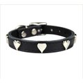 OmniPet Signature Leather Heart Dog Collar, Black, 12-in