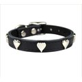 OmniPet Signature Leather Heart Dog Collar, Black, 14-in