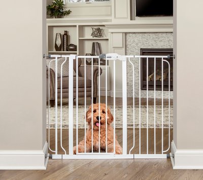 regalo extra tall pet gate