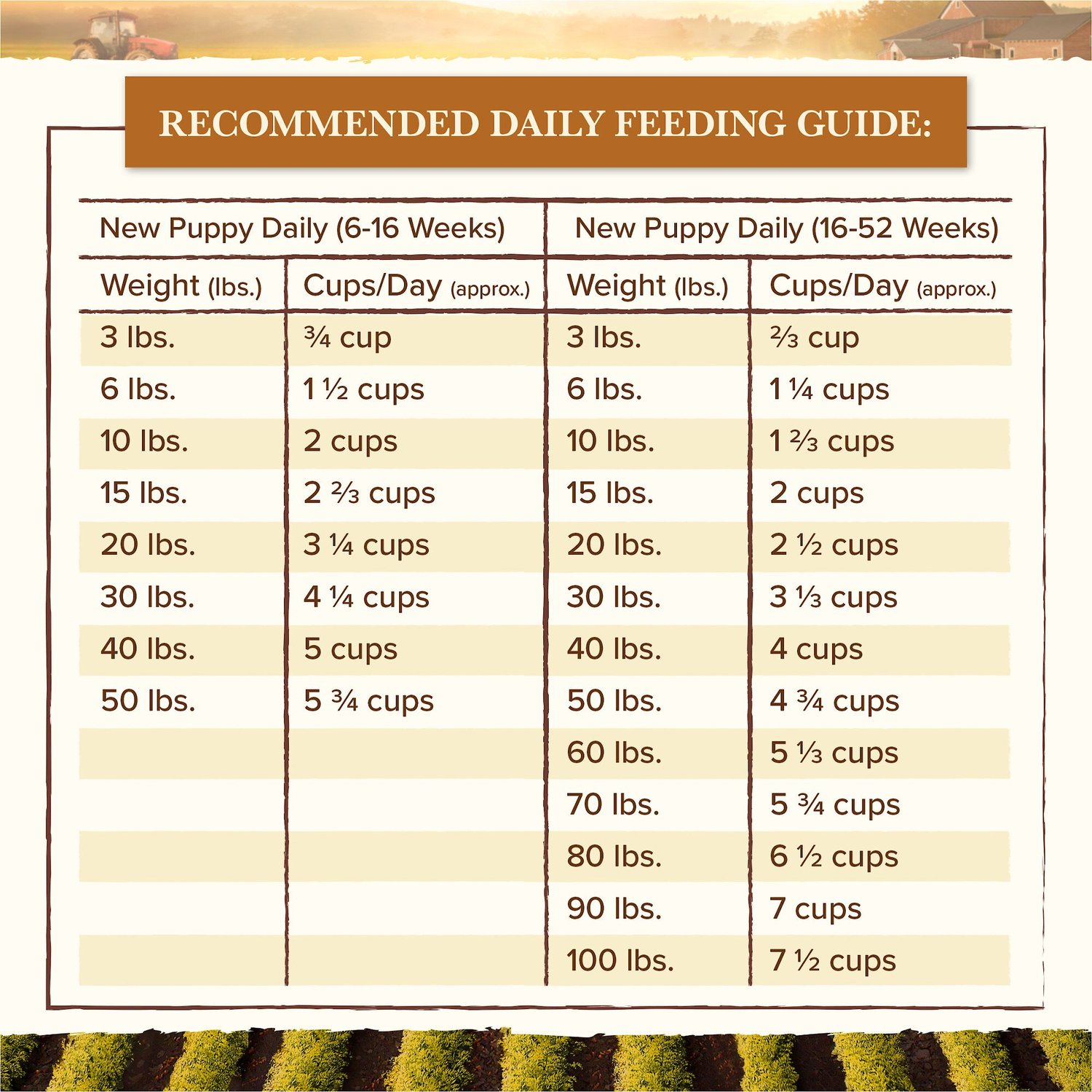 Image result for recommended daily feeding guide for puppies chewy