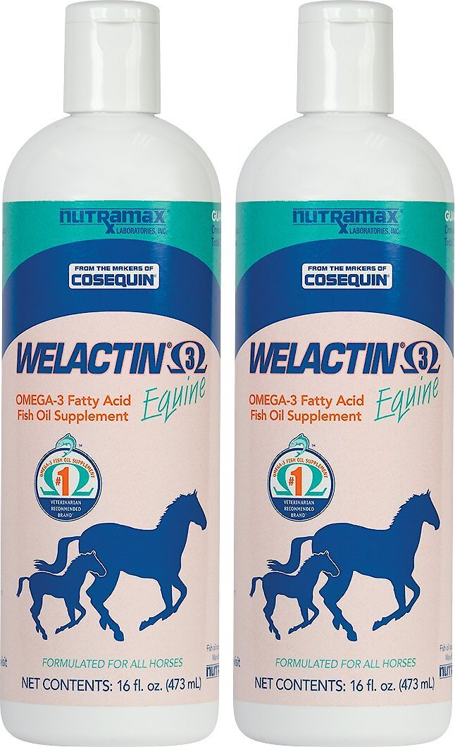 NUTRAMAX Welactin Omega3 Fish Oil Peppermint Flavor Liquid Horse