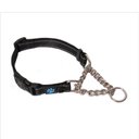 Max and Neo Dog Gear Nylon Reflective Martingale Dog Collar with Chain, Black, Small: 12 to 14.5-in neck, 1-in wide