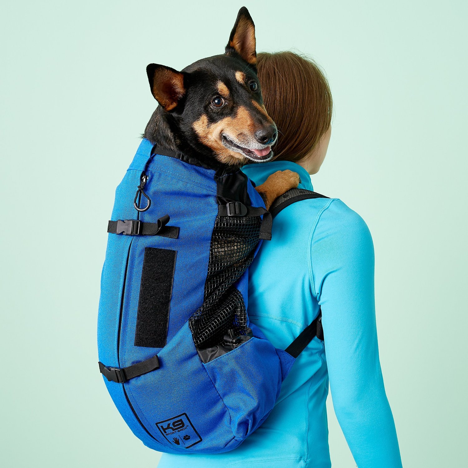 Dog Backpacks For Medium Dogs | IUCN Water