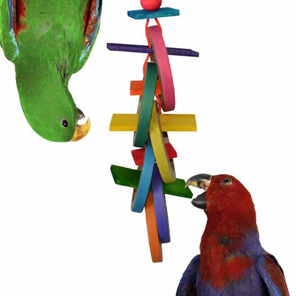 Super Bird Creations Olympic Rings Bird Toy slide 1 of 6
