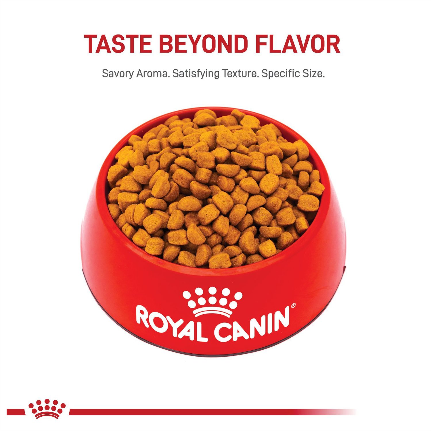 Royal Canin Rottweiler Puppy Dry Dog Food, 30-lb bag ...
