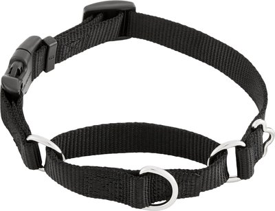 Frisco Solid Nylon Martingale Dog Collar with Buckle, slide 1 of 1
