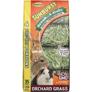 Higgins Sunburst Break-A-Bale Orchard Grass Small Animal Food, 35-oz bag