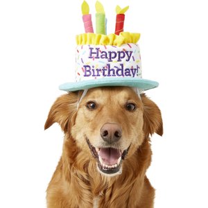 golden retriever with a birthday cake hat on head