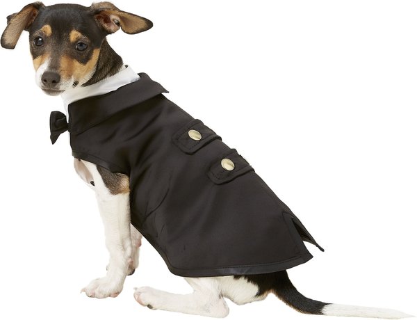 Frisco Formal Dog & Cat Tuxedo, Black, X-Small slide 1 of 9