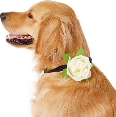 Frisco Flower Collar Slider for Dogs, slide 1 of 1