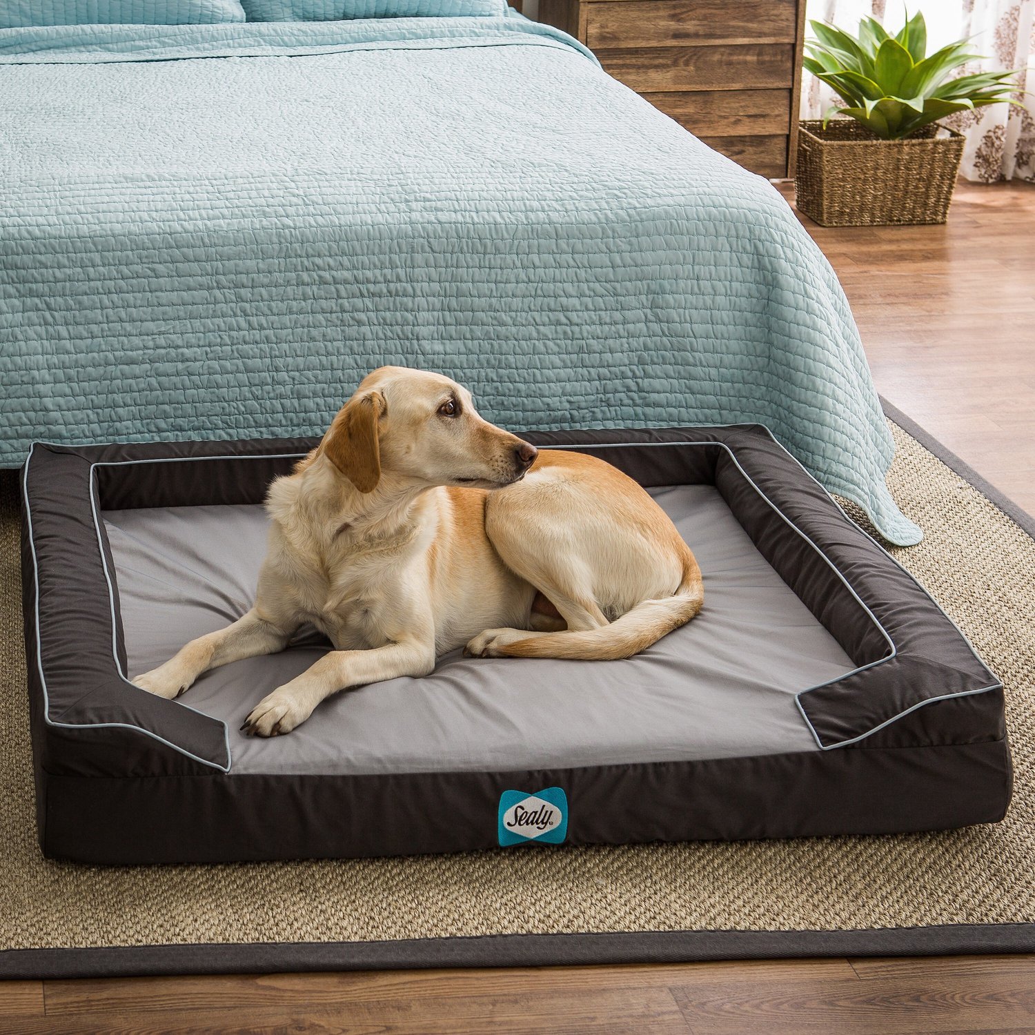 Sealy Lux Premium Orthopedic Dog Bed, Grey, Small
