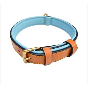 Soft Touch Collars Leather Two-Tone Padded Dog Collar, Tan Teal, Medium 