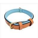Soft Touch Collars Leather Two-Tone Padded Dog Collar, Tan Teal, Medium 