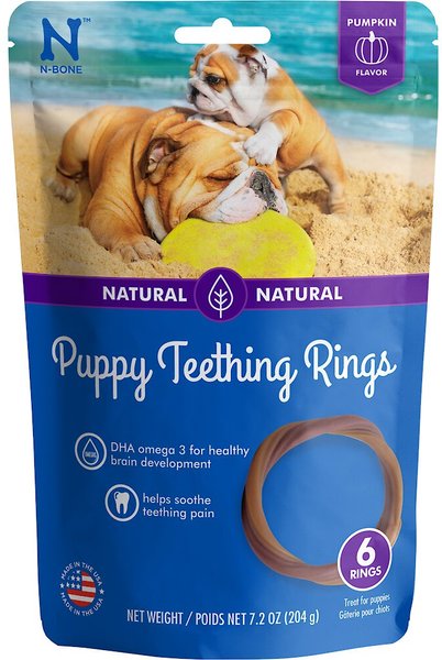 N-Bone Puppy Teething Ring Pumpkin Flavor Dog Treats, 6 count slide 1 of 4