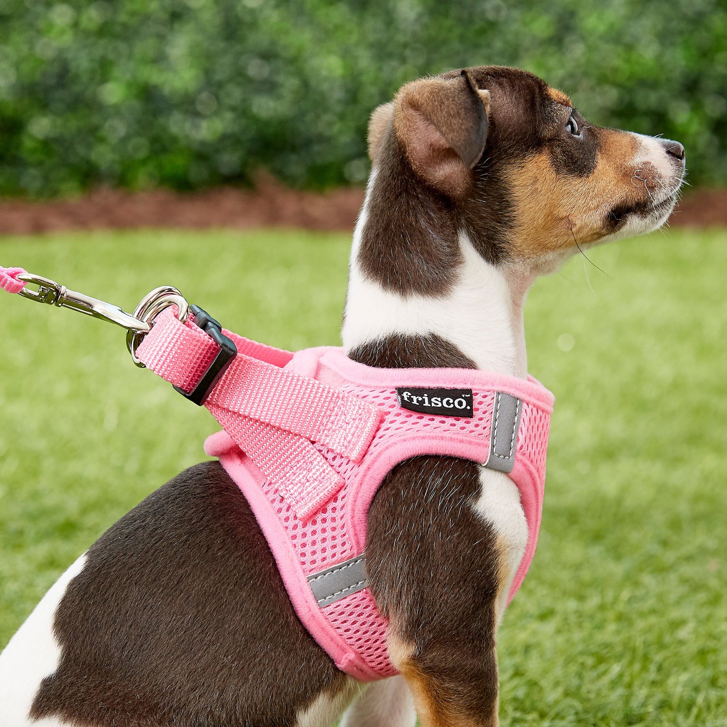 S LIL PALS Comfort Mesh Dog Harness XS adjustable perfect fit Petite