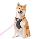 Frisco Padded Nylon No Pull Dog Harness, Pink, 20 to 30-in chest