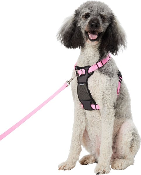 Frisco Padded Nylon No Pull Dog Harness, Pink, 26 to 40-in chest slide 1 of 6
