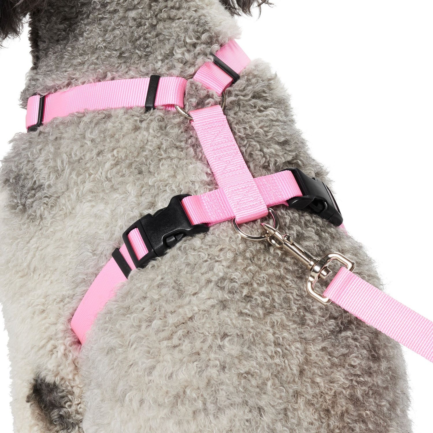 Unleash the Perfect Walk: Top 10 Dog No-Pull Harnesses for a Hassle ...