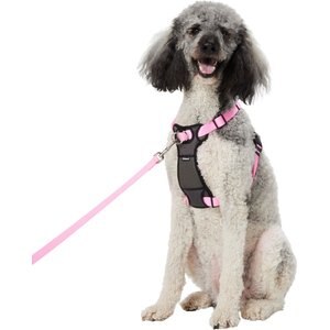 Frisco Padded Nylon No Pull Dog Harness, Pink, 32 to 50-in chest
