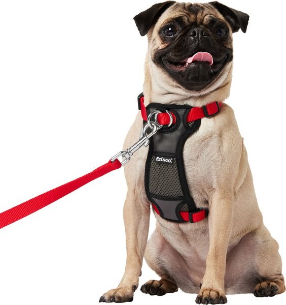 Frisco Padded Nylon No Pull Dog Harness, Red, 16 to 22-in chest slide 1 of 6