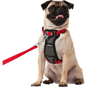 Frisco Padded Nylon No Pull Dog Harness, Red, 16 to 22-in chest