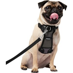 Frisco Padded Nylon No Pull Dog Harness, Black, 16 to 22-in chest