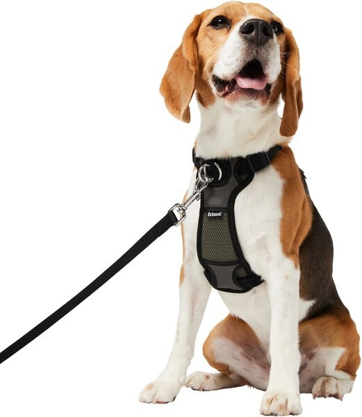 Frisco Padded Nylon No Pull Dog Harness, Black, 22 to 34-in chest slide 1 of 6