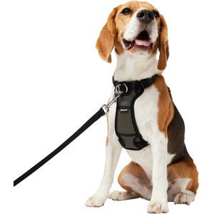 Frisco Padded Nylon No Pull Dog Harness, Black, 22 to 34-in chest