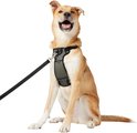 Frisco Padded Nylon No Pull Dog Harness, Black, 32 to 50-in chest