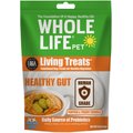 Whole Life Living Treats Pumpkin Flavor Freeze-Dried Dog Treats, 3-oz bag