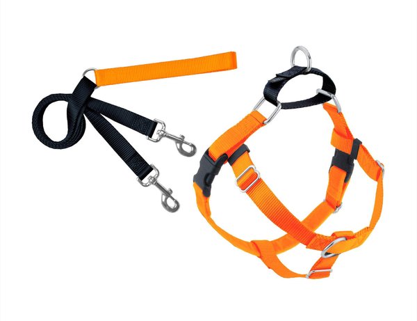 2 Hounds Design Freedom No Pull Nylon Dog Harness & Leash, Neon Orange, Large: 26 to 32-in chest, 1-in wide slide 1 of 5