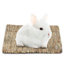 SunGrow Rabbit Grass Mat, Cage Bedding Accessories, Hay Chew Toy For Bunny, Guinea Pig, 1 count