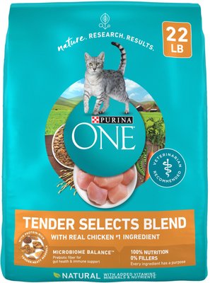 purina one dry cat food chicken