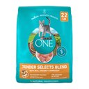 Purina ONE Tender Selects Blend with Real Chicken Dry Cat Food, 22-lb bag