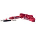 forePets Professional WhistCall Bark Control & Obedience Training Dog Whistle with Lanyard, Red