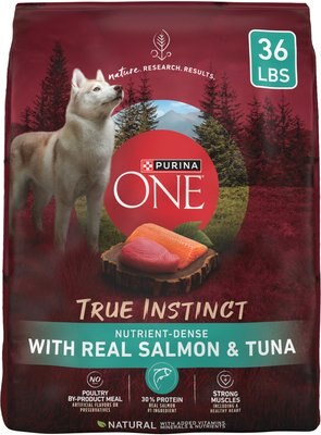 Purina ONE SmartBlend True Instinct with Real Salmon & Tuna Adult Dry Dog Food, slide 1 of 1