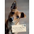 A Letter to My Dog: Notes to Our Best Friends