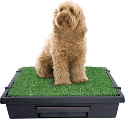 PetSafe Pet Loo Portable Indoor & Outdoor Dog Potty, slide 1 of 1