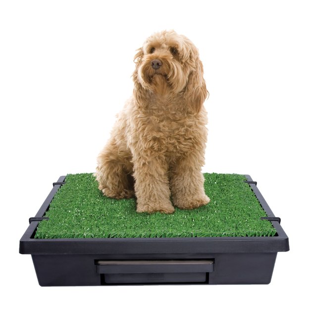 Non-toxic Metal Frame Splash-proof Mat Household Portable Dog Toilet Pet Potty Protection Floor Easy To Clean Environmentally Friendly 