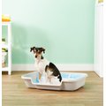 Puppy Pan Dog, Cat & Small Animal Litter Pan