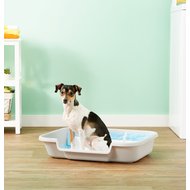 Puppy Pan Dog, Cat & Small Animal Litter Pan
