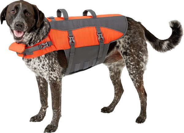 Frisco Ripstop Dog Life Jacket, X-Large slide 1 of 11