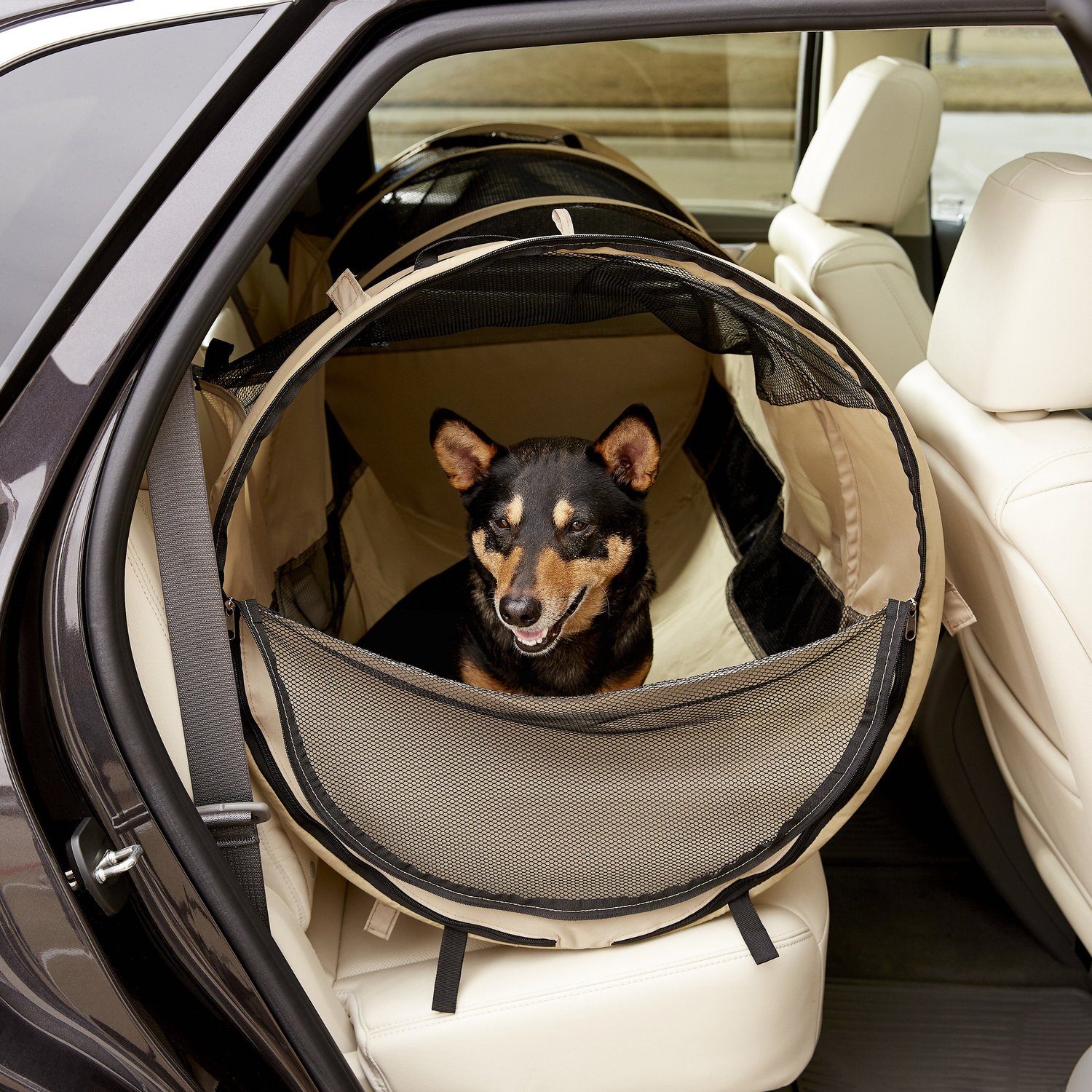 back seat dog cage