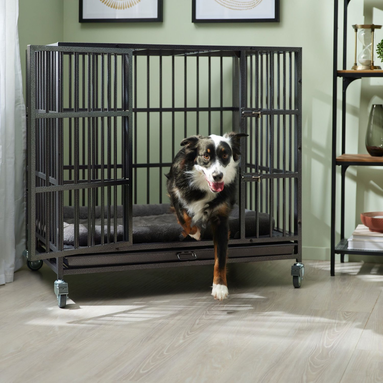steel dog crate