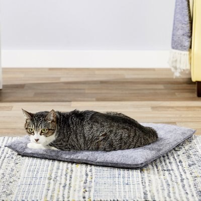 K.T. Manufacturing Purr Padd Cat Bed Mat, 2 count, slide 1 of 1