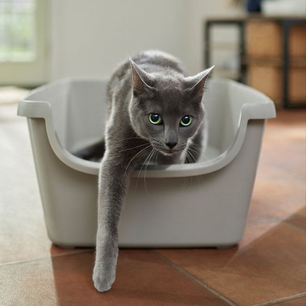 Frisco High Sided Cat Litter Box, Gray, Extra Large 24-in slide 1 of 4