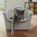 Frisco High Sided Cat Litter Box, Gray, Extra Large 24-in